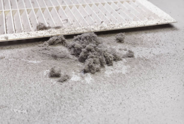 Best HVAC Air Duct Cleaning  in Wise, VA