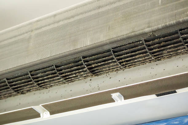 Best Air Duct Cleaning Near Me  in Wise, VA